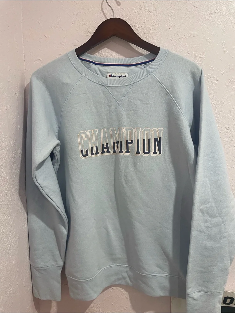 Champion Light Blue Crewneck Sweatshirt with Logo